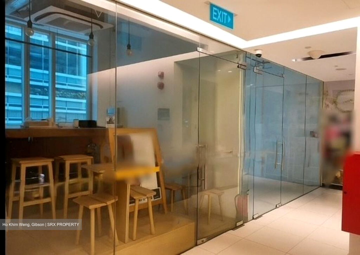 Oxley Tower (D1), Shop House #502548111